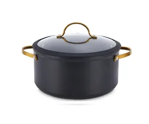 סיר 24 ס"מ Black &Gold